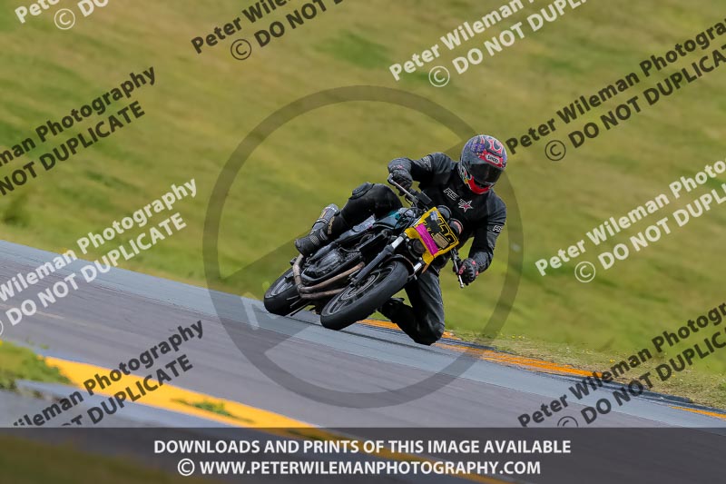 PJ Motorsport 2019;anglesey no limits trackday;anglesey photographs;anglesey trackday photographs;enduro digital images;event digital images;eventdigitalimages;no limits trackdays;peter wileman photography;racing digital images;trac mon;trackday digital images;trackday photos;ty croes